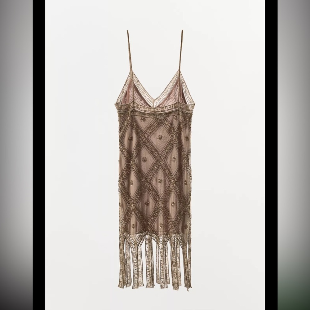 Zara limited edition EMBROIDERED TULLE Mini DRESS - Picture 14 of 15